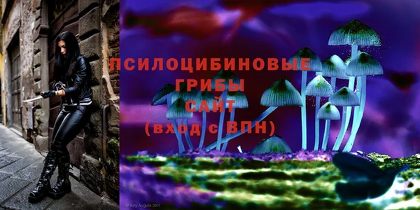 прущая мука Киренск
